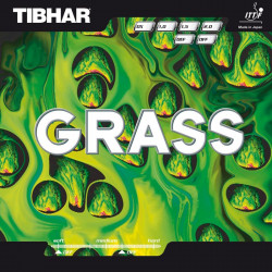 TIBHAR "GRASS" Picots Longs